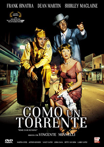 Some Came Running |   DVD